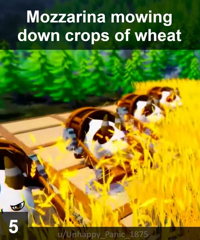428172316_122119147736193112_8506881323603186599_n.jpg